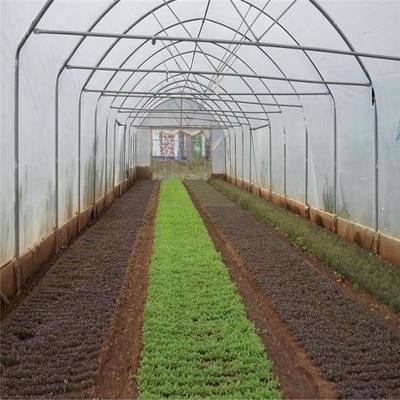 四川养猪大棚建造 椭圆管包塑养殖棚 椭圆管蔬菜大棚种植